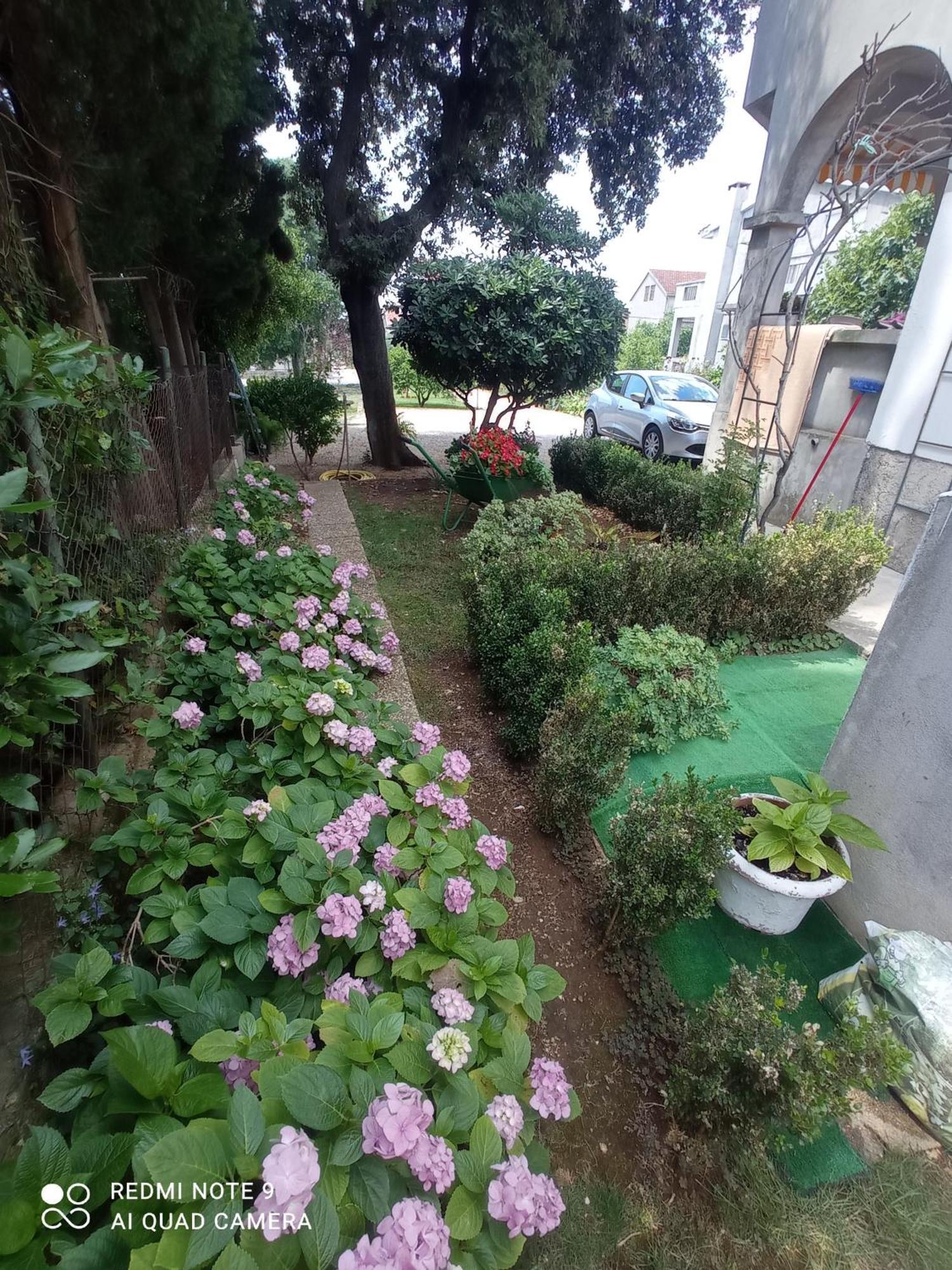 Apartmani Gaga Бибинє Екстер'єр фото